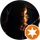 Food Lover